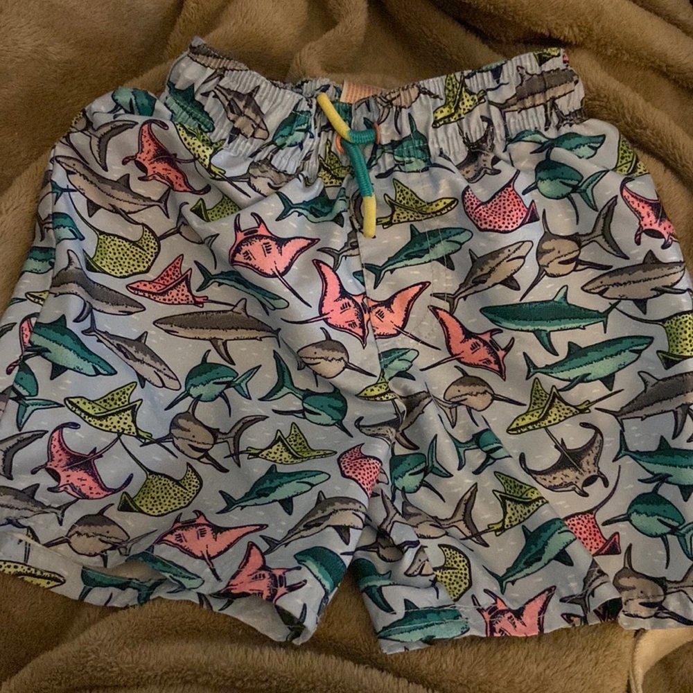 Cat & Jack 4T Shark Swim Trunks